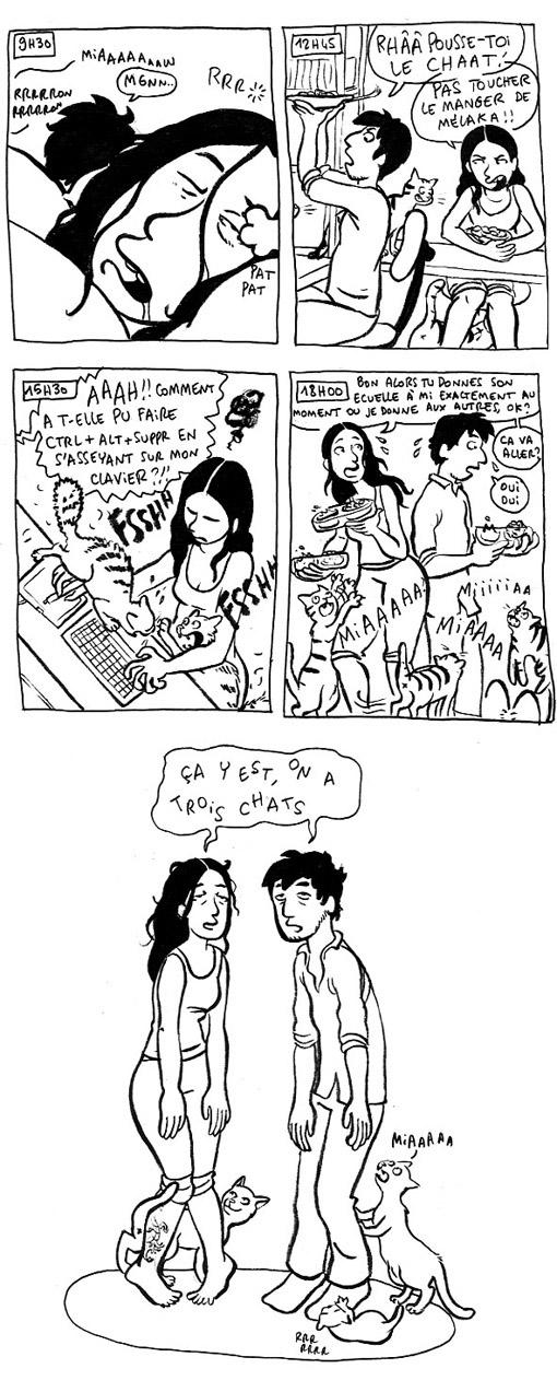 http://melaka.free.fr/blog/3chats.jpg