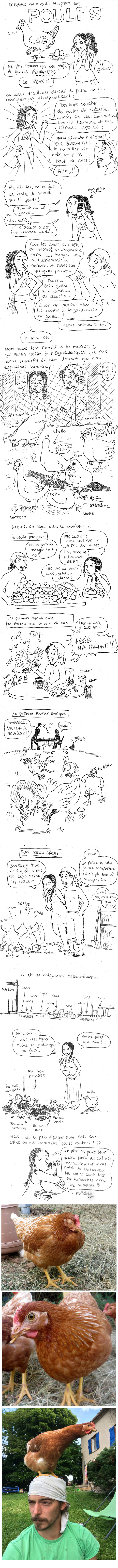 http://melaka.free.fr/blog/Poules.jpg