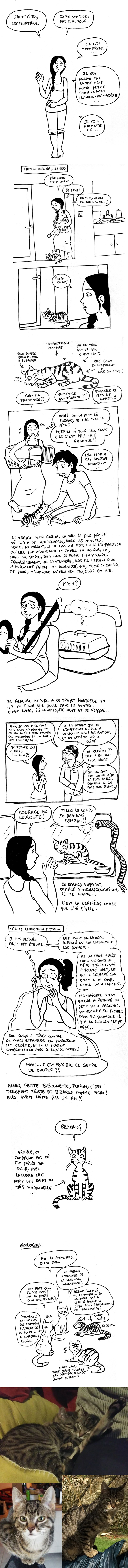 http://melaka.free.fr/blog/adieuframboise.jpg
