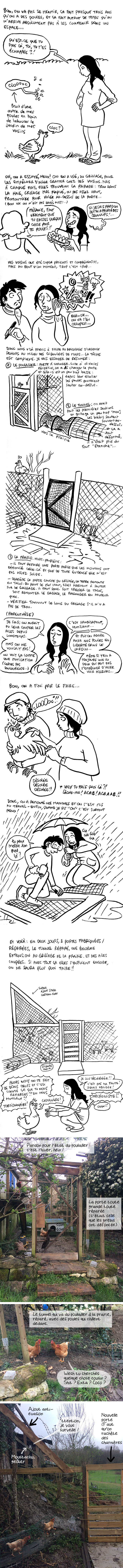 http://melaka.free.fr/blog/alcatrazpoupoules.jpg