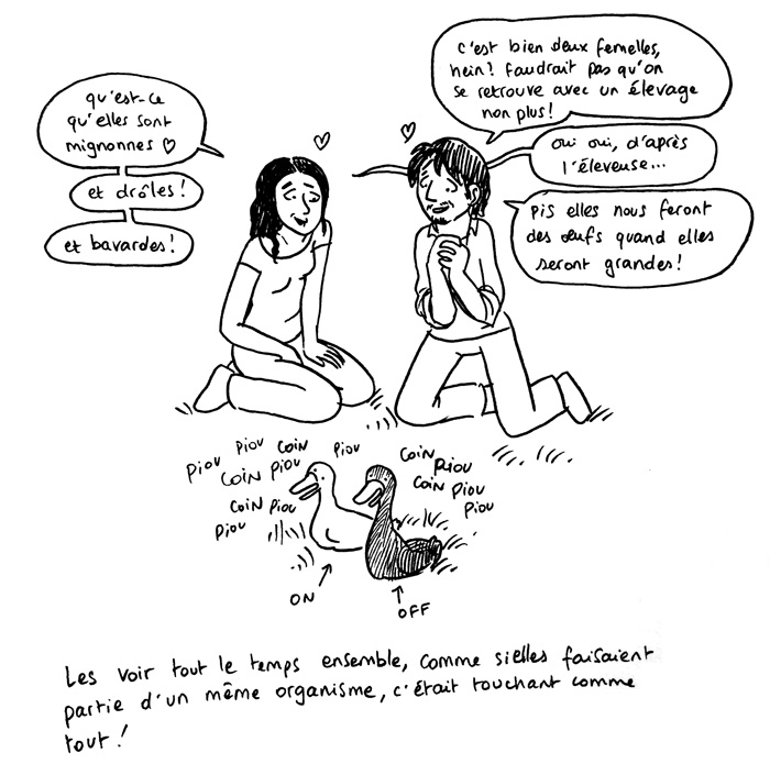 http://melaka.free.fr/blog/canards2.jpg
