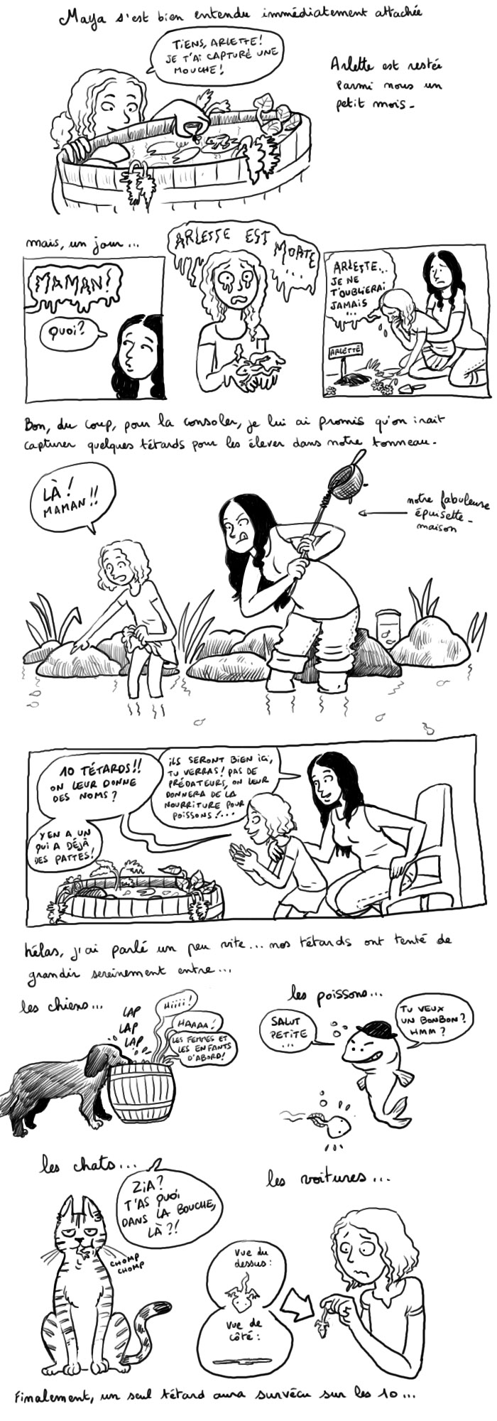 http://melaka.free.fr/blog/grenouille.jpg