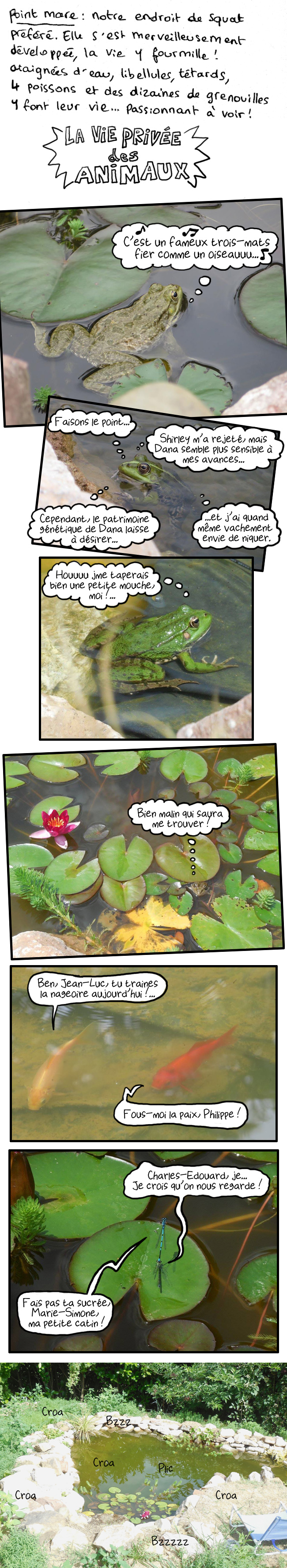 http://melaka.free.fr/blog/jardinophilie-2.jpg