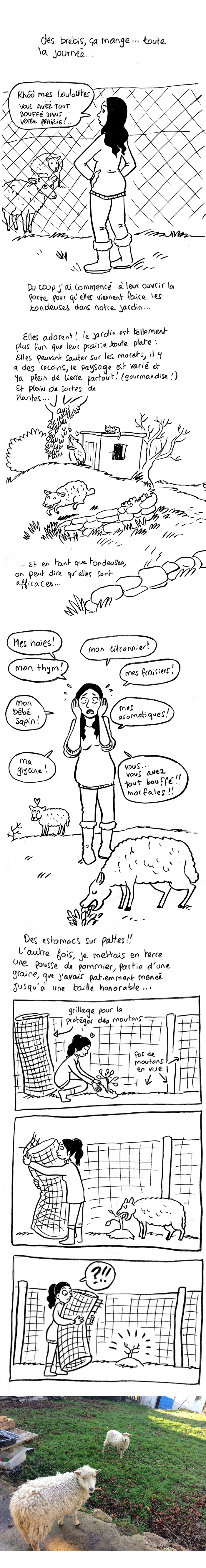 http://melaka.free.fr/blog/pointmoutons.jpg