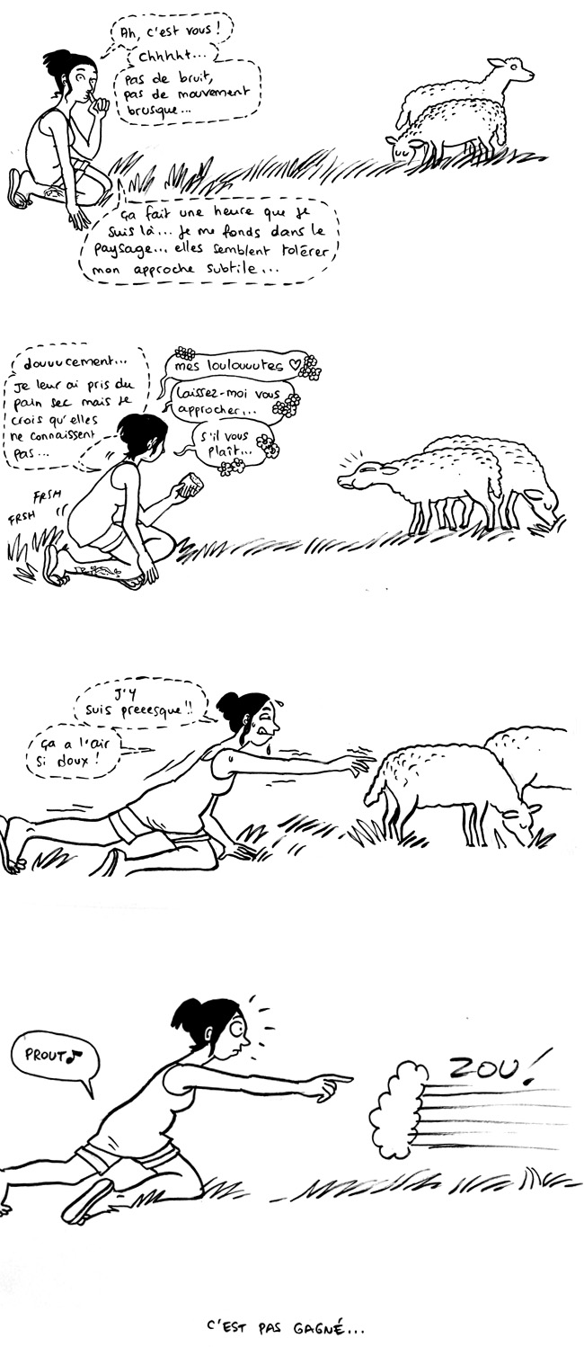 http://melaka.free.fr/blog/prout.jpg