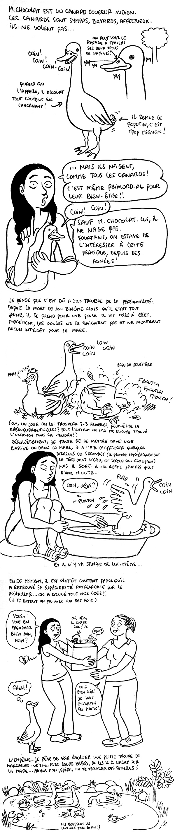 http://melaka.free.fr/blog/canardcoureur.jpg