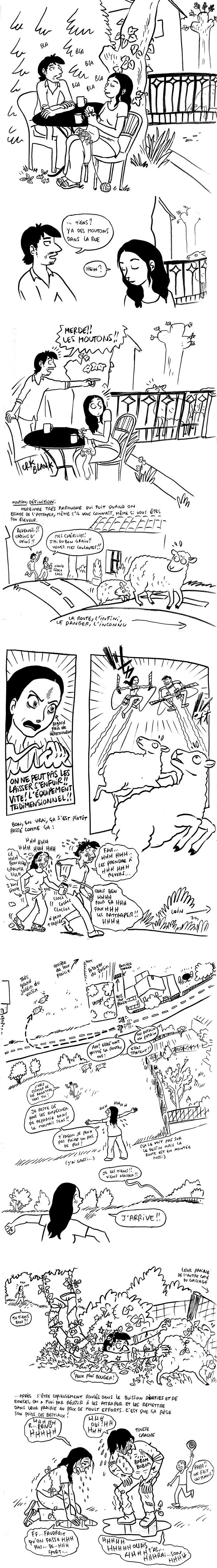 http://melaka.free.fr/blog/evasion.jpg