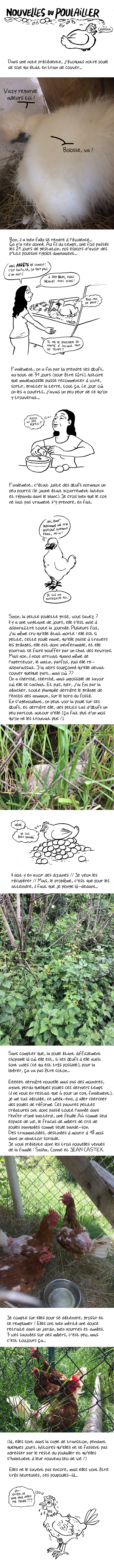 http://melaka.free.fr/blog/nouvellespoupoules.png