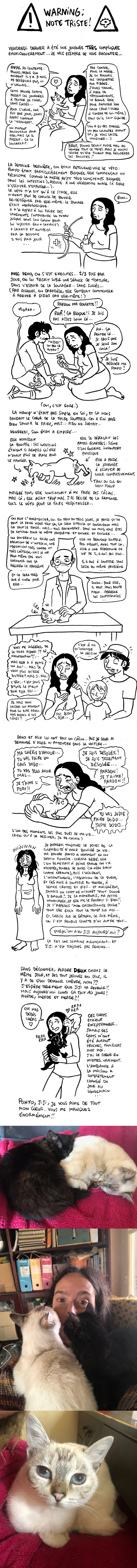http://melaka.free.fr/blog/pauvre_ponyo_fin.jpg
