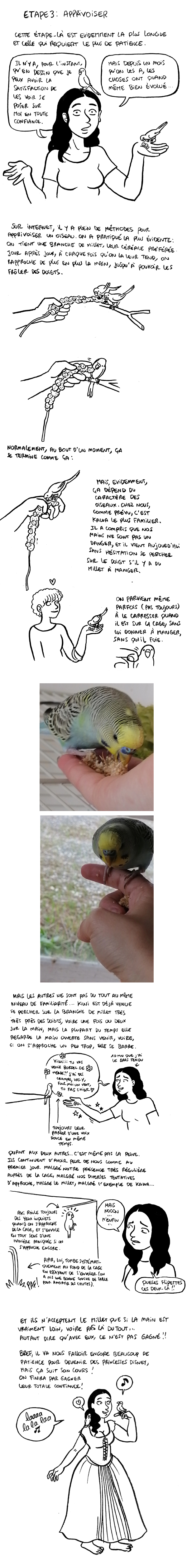 http://melaka.free.fr/blog/perruches3.jpg