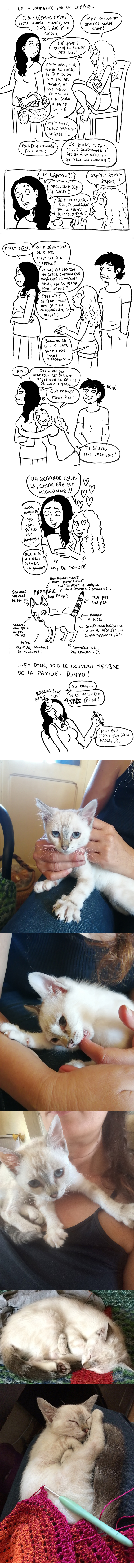 http://melaka.free.fr/blog/ponyo.jpg