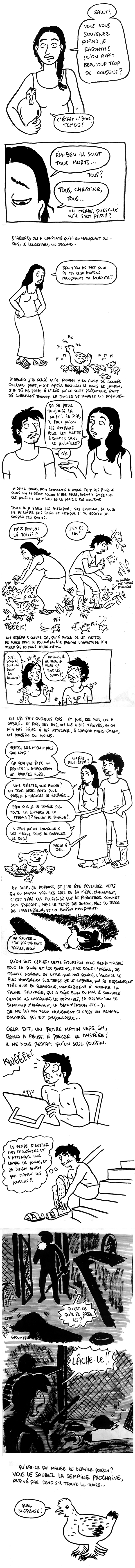 http://melaka.free.fr/blog/poussinsdisparus.png