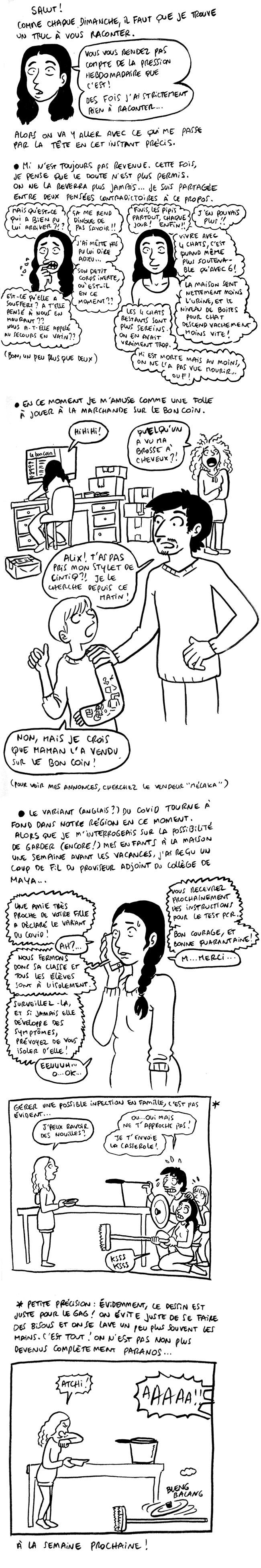 http://melaka.free.fr/blog/variant.jpg