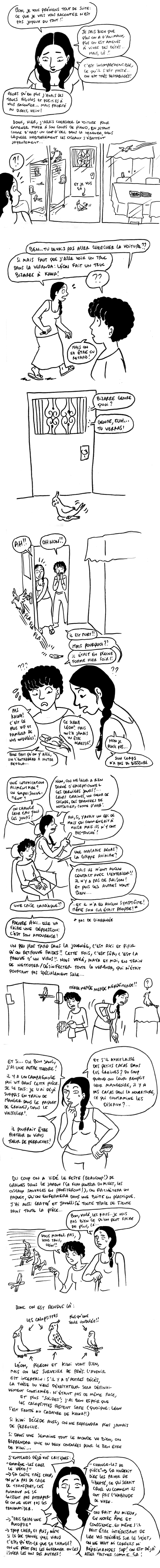 http://melaka.free.fr/blog/viruspioupiou.JPG